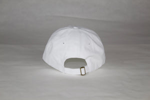White / Navy Wisconsin Hat