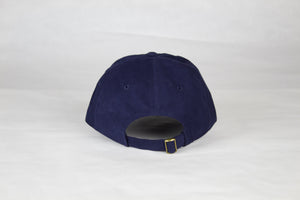 Navy Minnesota Hat