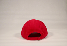 Load image into Gallery viewer, Wisconsin Badgers Hat