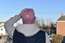 Load image into Gallery viewer, Minnesota Gophers Hat